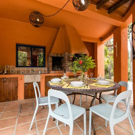 Bambu * تشارنكه