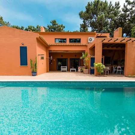 Bambu * تشارنكه