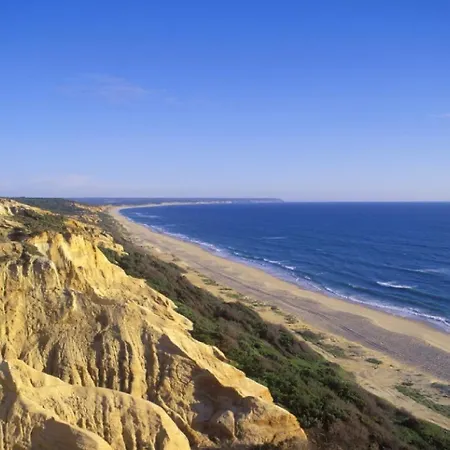 Bambu تشارنكه