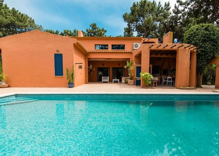 Bambu * Charneca (Setubal)