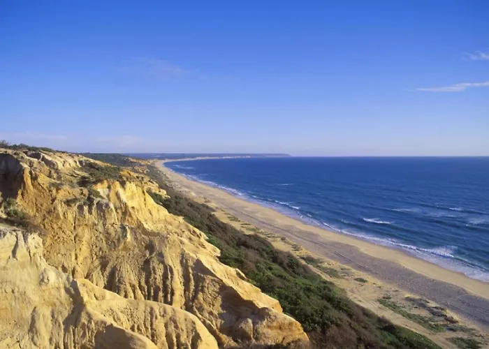 Bambu Charneca (Setubal)