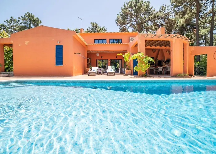 Bambu * Шарнека